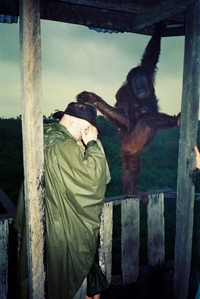 borneo
