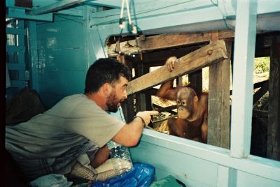 borneo