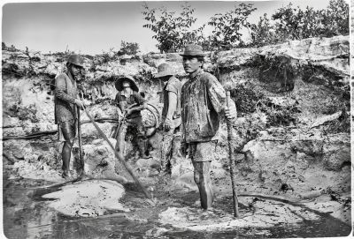 borneo