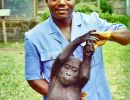 cameroon