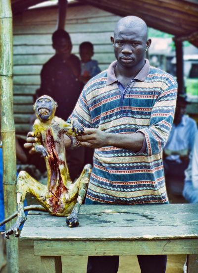 cameroon