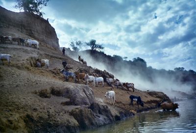 ethiopia hamar