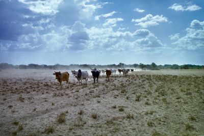 ethiopia hamar